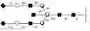 Fig. 46 - Compositions and methods relating to universal glycoforms for enhanced antibody efficacy