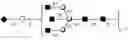 Fig. 53 - Compositions and methods relating to universal glycoforms for enhanced antibody efficacy