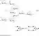 Fig. 71 - Compositions and methods relating to universal glycoforms for enhanced antibody efficacy