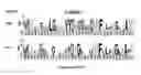 Fig. 09 - SPLIT INTEINS, CONJUGATES AND USES THEREOF