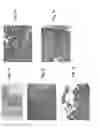 Fig. 08 - Compositions and methods for diagnosing and treating an inflammation