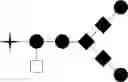 Fig. 06 - Process of modulating man5 and/or afucosylation content of a glycoprotein composition