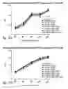 Fig. 28 - BCMA antigen binding proteins