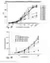 Fig. 33 - BCMA antigen binding proteins