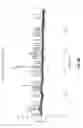 Fig. 10 - Modified Antigen Binding Molecules With Altered Cell Signaling Activity