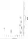 Fig. 10 - Phosphohistidine analogs