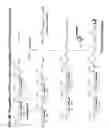 Fig. 12 - Sialic Acid Derivatives