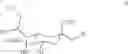 Fig. 22 - Sialic Acid Derivatives