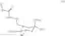 Fig. 23 - Sialic Acid Derivatives