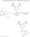 Fig. 09 - Catalyst