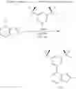 Fig. 22 - Catalysts