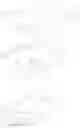 Fig. 24 - An Ethylene Based Polymer