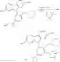 Fig. 41 - An Ethylene Based Polymer