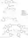 Fig. 59 - An Ethylene Based Polymer