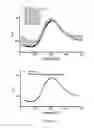 Fig. 08 - Imprinted polymer and method for preparing the same