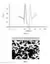 Fig. 02 - Self-assembling  polymers—I