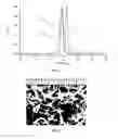 Fig. 02 - Self-assembling polymers—IV