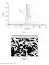 Fig. 02 - Self-assembling polymers—III