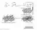 Fig. 01 - Functionalization of P(S-co-MMA)/graphene nanocomposites through microwave irradiation