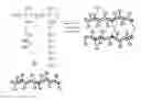 Fig. 01 - Substrate independent copolymers for biofunctionalization