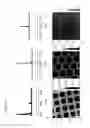 Fig. 19 - Reactive superhydrophobic surfaces, patterned superhydrophobic surfaces, methods for producing the same and use of the patterned superhydrophobic surfaces