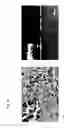 Fig. 21 - Reactive superhydrophobic surfaces, patterned superhydrophobic surfaces, methods for producing the same and use of the patterned superhydrophobic surfaces