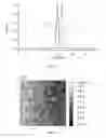 Fig. 02 - Self-assembled structure and membrane comprising block copolymer and process for producing the same by spin coating (IIIa)