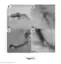Fig. 09 - Laminates Comprising Oligomer-Grafted Nanofillers and Advanced Composite Materials