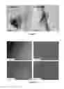 Fig. 16 - Laminates Comprising Oligomer-Grafted Nanofillers and Advanced Composite Materials