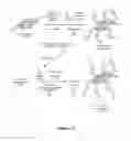 Fig. 24 - Laminates Comprising Oligomer-Grafted Nanofillers and Advanced Composite Materials