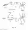 Fig. 25 - Laminates Comprising Oligomer-Grafted Nanofillers and Advanced Composite Materials