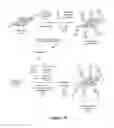 Fig. 26 - Laminates Comprising Oligomer-Grafted Nanofillers and Advanced Composite Materials