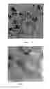 Fig. 03 - Carboxylate-alumoxanes nucleating agents and a process for the preparation thereof