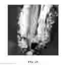 Fig. 04 - Effect pigments