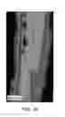 Fig. 07 - Effect pigments