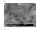 Fig. 02 - Oxidation resistant copper nanoparticles and method for producing same