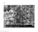 Fig. 08 - Oxidation resistant copper nanoparticles and method for producing same