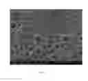 Fig. 02 - Coating compositions