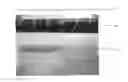 Fig. 05 - UV curable metallic decorative compositions