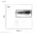Fig. 12 - Methods, kits, and compositions for stem cell self-renewal
