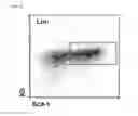 Fig. 25 - Methods, kits, and compositions for stem cell self-renewal