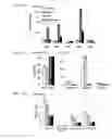 Fig. 45 - Methods, kits, and compositions for stem cell self-renewal