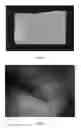 Fig. 04 - Method For Production Of Large Numbers Of Cartilage Cells With Phenotype Retention