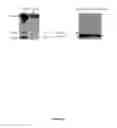 Fig. 07 - Sulfated depolymerized derivatives of exopolysaccharides (EPS) from mesophilic marine bacteria, method for preparing same, and uses thereof in tissue regeneration