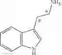 Fig. 02 - Biocatalysts and methods for synthesizing derivatives of tryptamine and tryptamine analogs