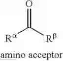 Fig. 09 - Biocatalysts and methods for synthesizing derivatives of tryptamine and tryptamine analogs