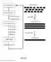 Fig. 32 - Coagulation factor IX compositions and methods of making and using same