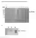 Fig. 04 - Polynucleotide for recombinant expression of isomaltulose synthase