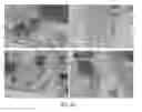 Fig. 35 - Transfection with magnetic nanoparticles