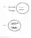 Fig. 06 - System and Methods for Massively Parallel Analysis of Nucleic Acids in Single Cells